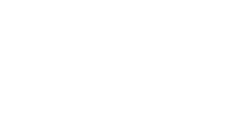 logo HOTEL MIRRA ****